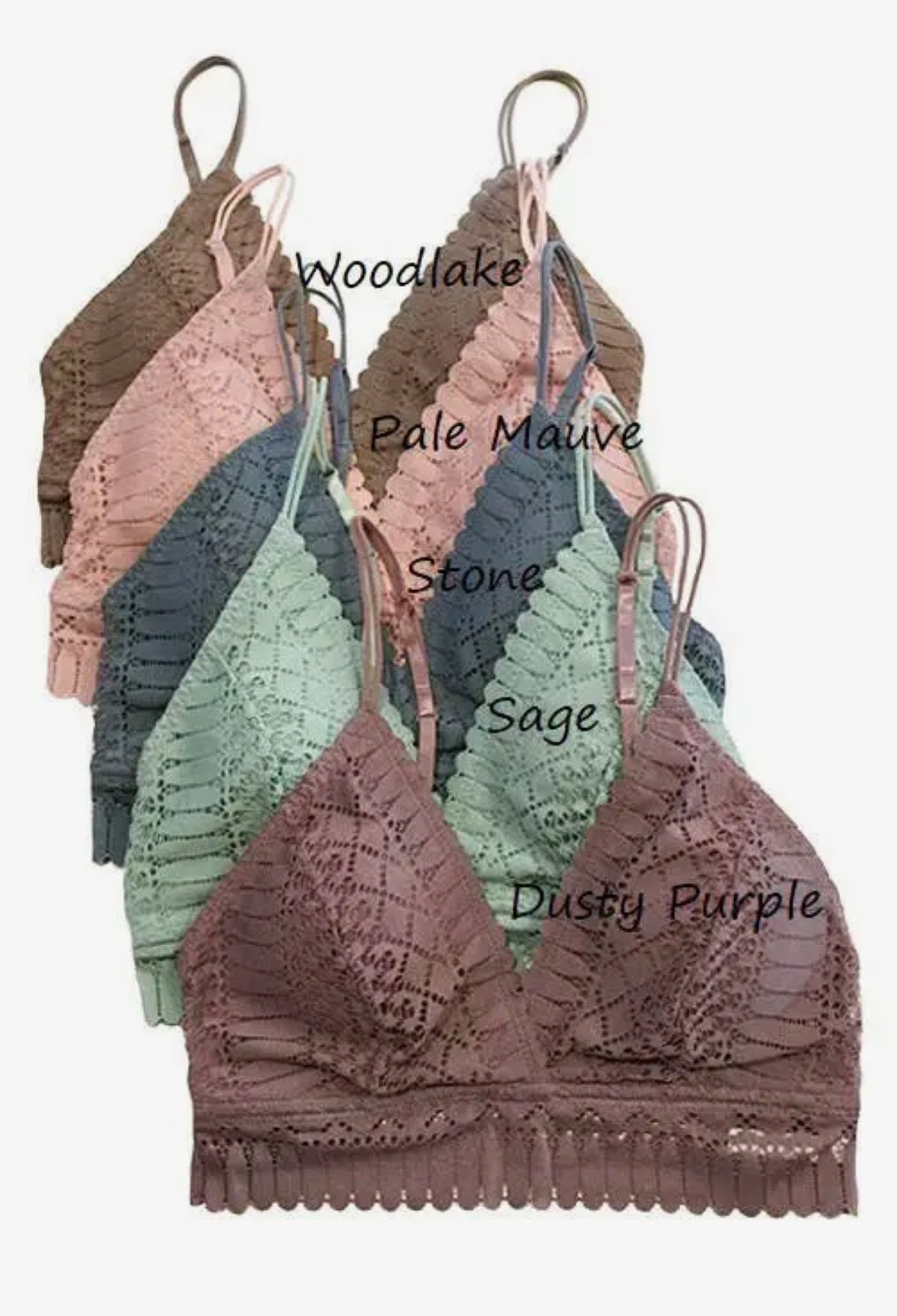 Padded Lace Silhouette Bralette